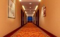 Interior lighting decoration sample images